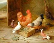 unknow artist poultry  141 Sweden oil painting artist